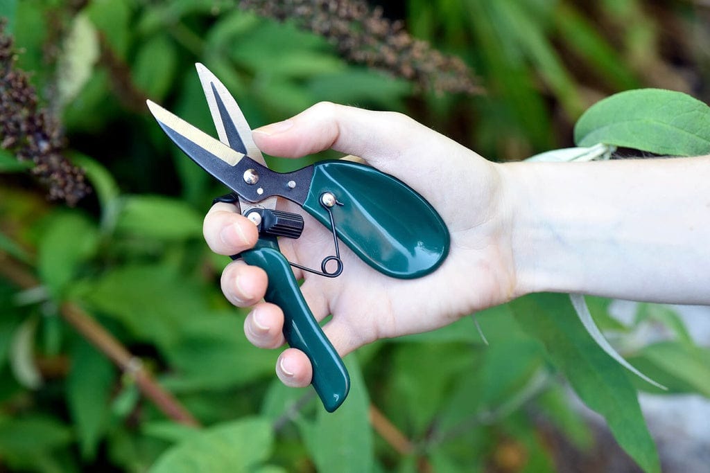Ergo Deadheader - Burgon & Ball - Coco Blue