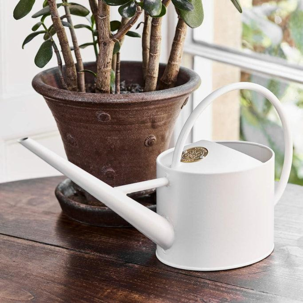 Buttermilk cream coloured indoor watering can designed by Sophie Conran for Burgon and Ball sitting next to an indoor plant in a brown pot.