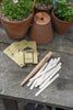 A Burgon & Ball wooden dibblet, seed envelopes and seedling labels laying next to a terracotta pot plant