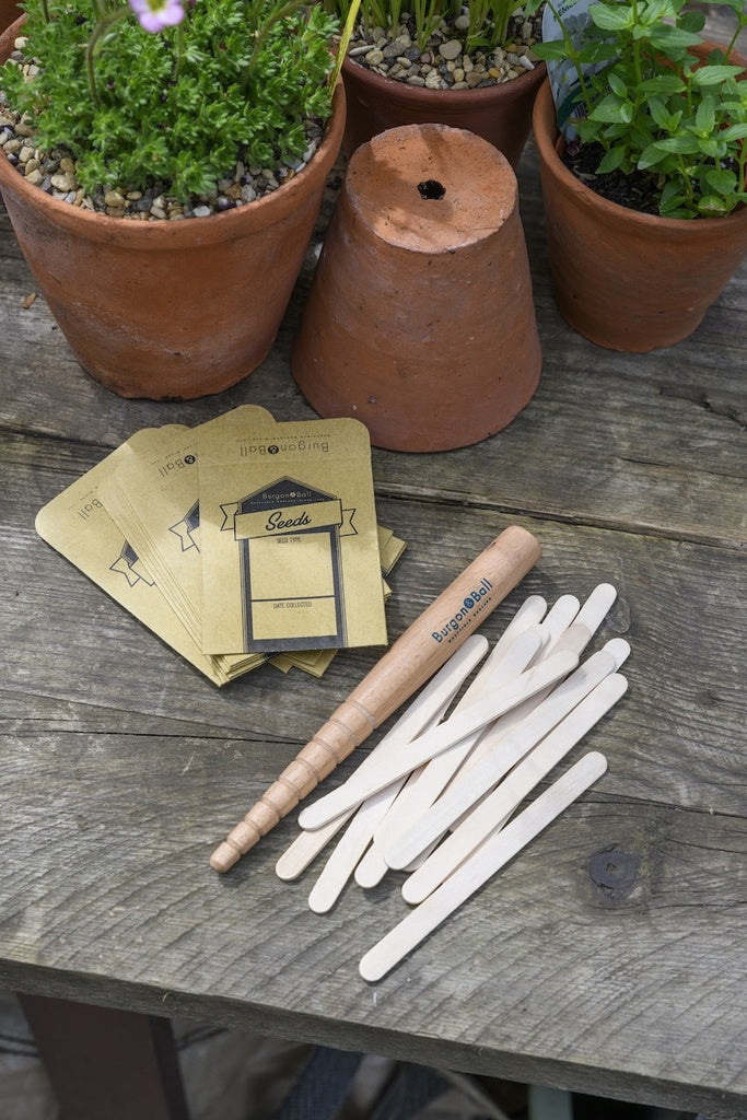 A Burgon & Ball wooden dibblet, seed envelopes and seedling labels laying next to a terracotta pot plant