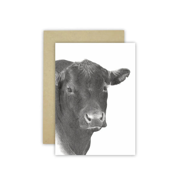 White gift card with black pencil drawing of an Angus Bull head. Drawn by australian artist Cathy Hamilton.