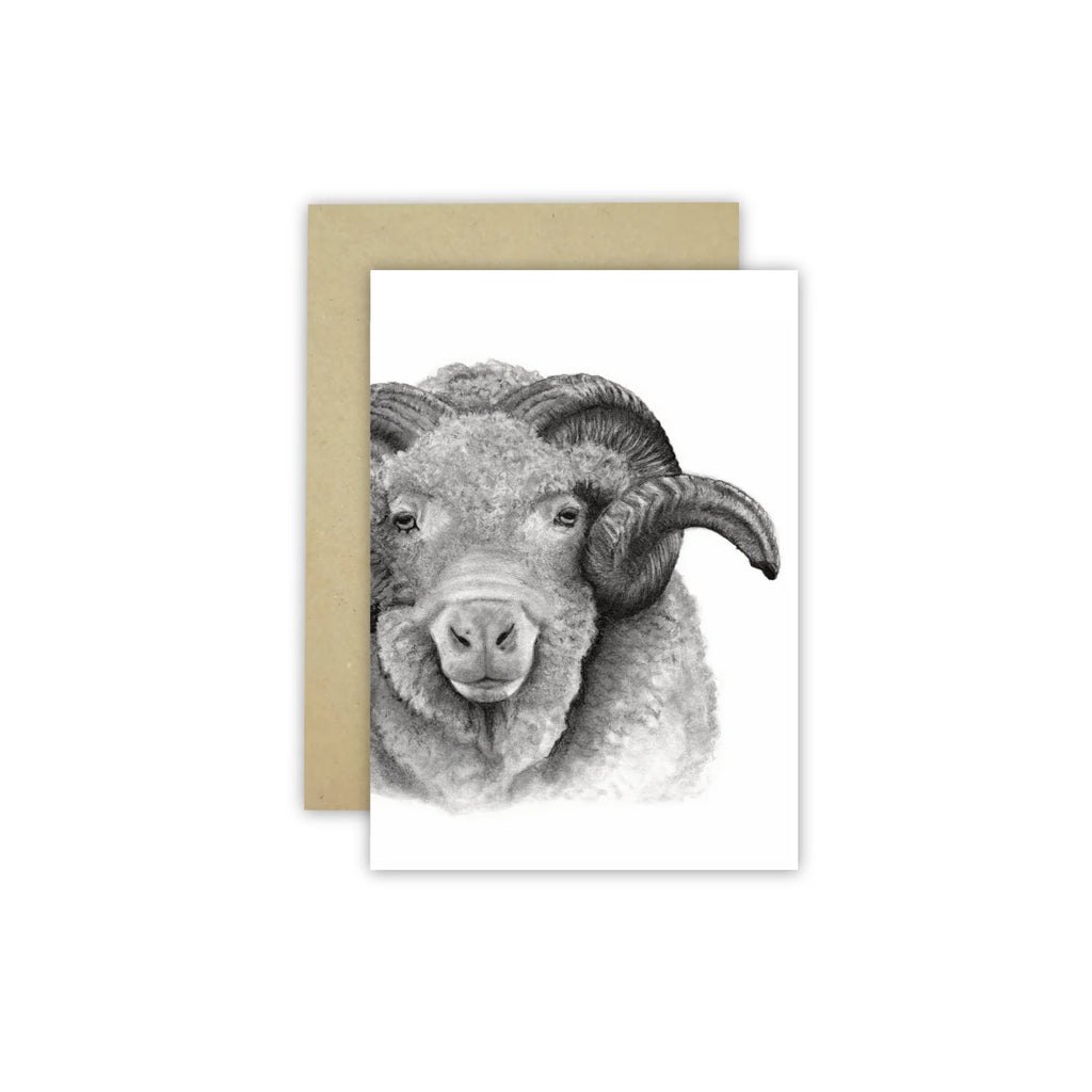 White gift card with black pencil drawing of a ram's head alongside a kraft envelope. Drawn by australian artist Cathy Hamilton.