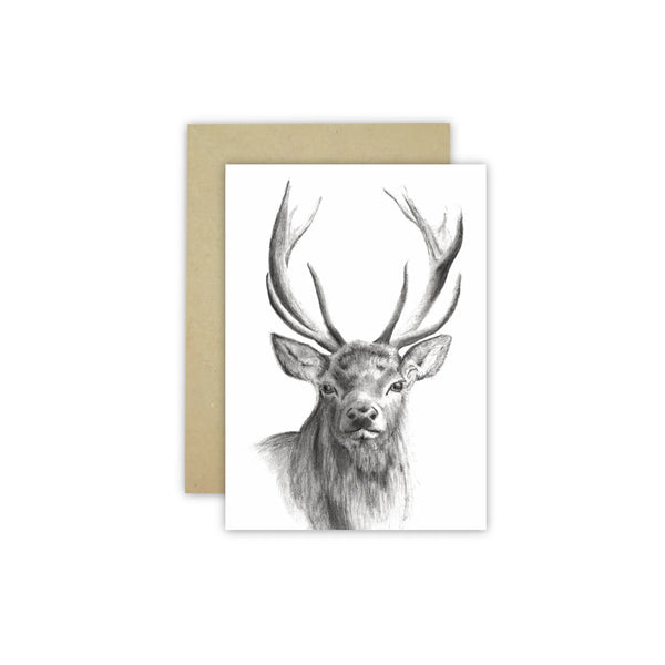 White gift card with black pencil drawing of the head of a stag alongside a kraft envelope. Drawn by australian artist Cathy Hamilton.