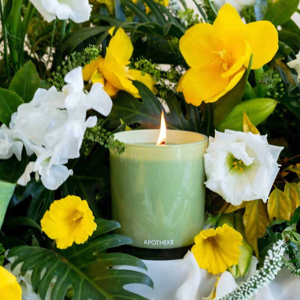 Apotheke Candle | Saffron Vanilla - Apotheke - Coco Blue