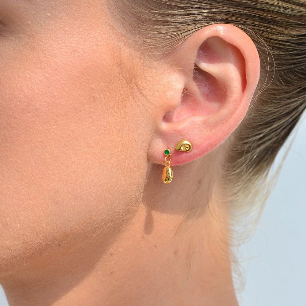 Nautilus Stud Earrings | Gold - Linda Tahija - Coco Blue