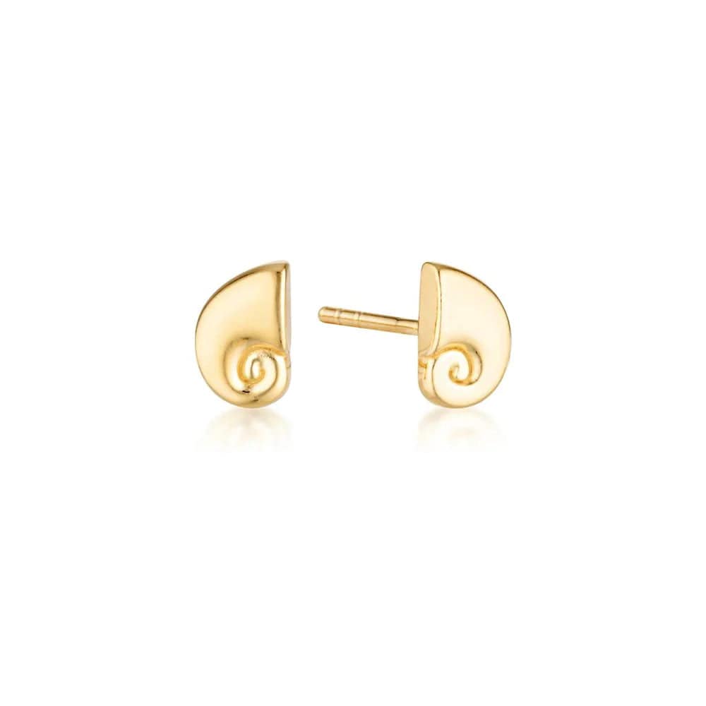 Nautilus Stud Earrings | Gold - Linda Tahija - Coco Blue