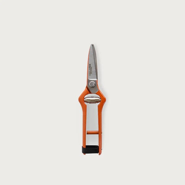Pallarès Pruning Shears | Straight | 19cm - PALLARES SOLSONA - Coco Blue
