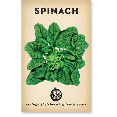 Spinach 'Bloomsdale' Heirloom Seeds - Little Veggie Patch Co - Coco Blue