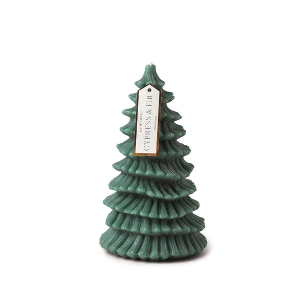 Tall Tree Candle | Cypress & Fir - Paddywax - Coco Blue
