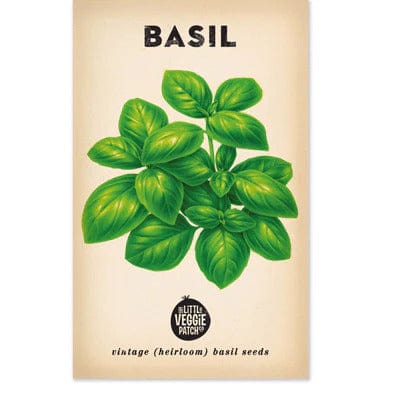 Basil Heirloom Seeds - Little Veggie Patch Co - Coco Blue