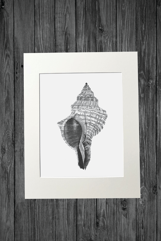 Cathy Hamilton Pencil Sketch Prints - Cathy Hamilton - Coco Blue