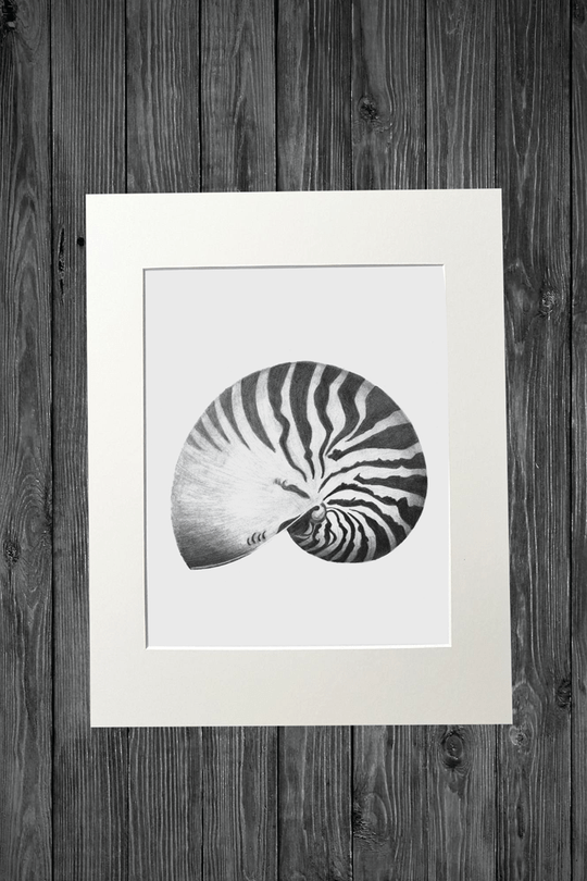 Cathy Hamilton Pencil Sketch Prints - Cathy Hamilton - Coco Blue