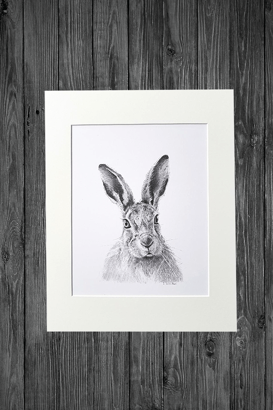 Cathy Hamilton Pencil Sketch Prints - Cathy Hamilton - Coco Blue