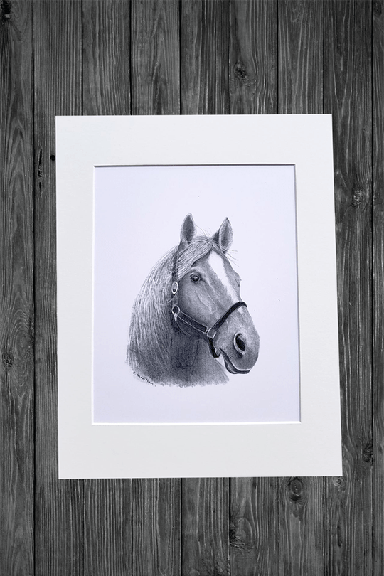 Cathy Hamilton Pencil Sketch Prints - Cathy Hamilton - Coco Blue