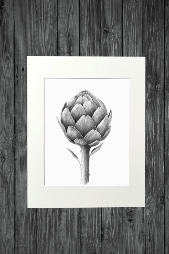 Cathy Hamilton Pencil Sketch Prints - Cathy Hamilton - Coco Blue