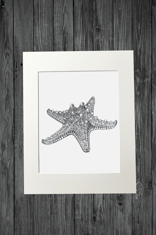 Cathy Hamilton Pencil Sketch Prints - Cathy Hamilton - Coco Blue