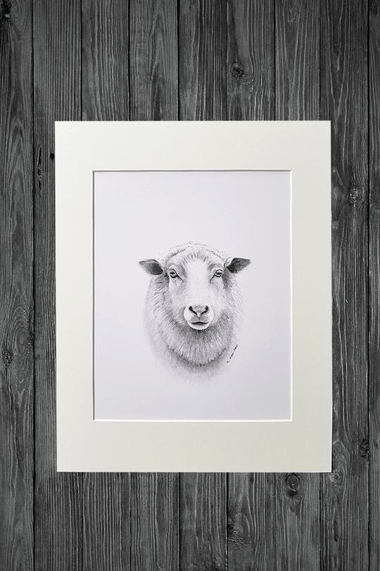 Cathy Hamilton Pencil Sketch Prints - Cathy Hamilton - Coco Blue