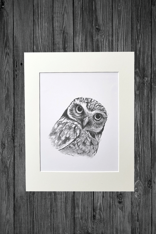 Cathy Hamilton Pencil Sketch Prints - Cathy Hamilton - Coco Blue