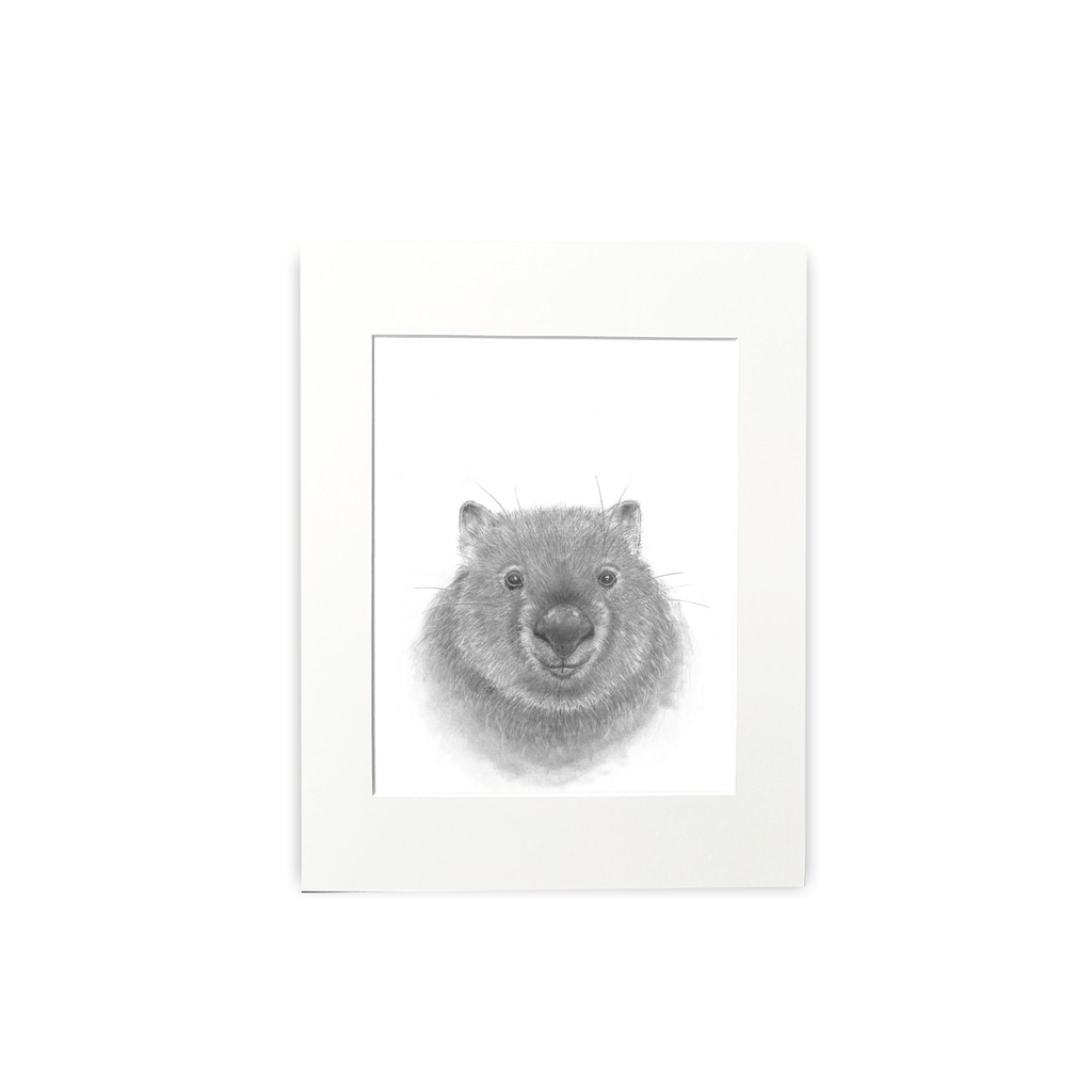 Cathy Hamilton Pencil Sketch Prints - Cathy Hamilton - Coco Blue