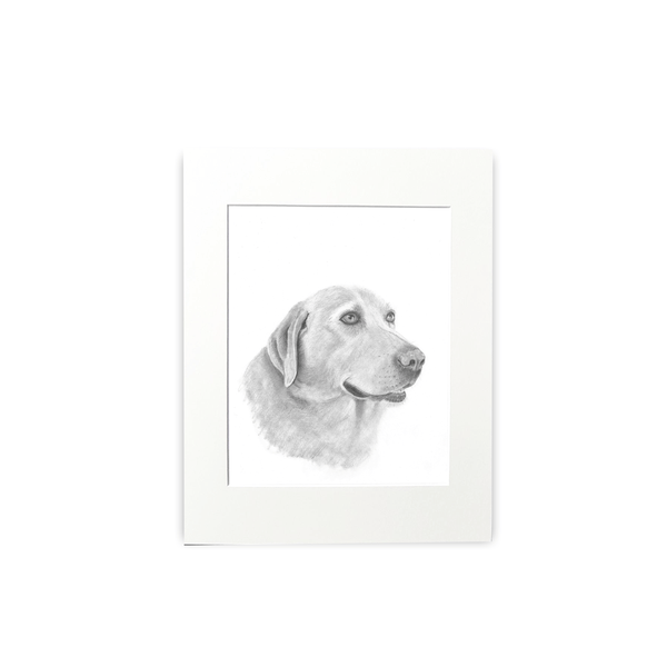 Cathy Hamilton Pencil Sketch Prints - Cathy Hamilton - Coco Blue