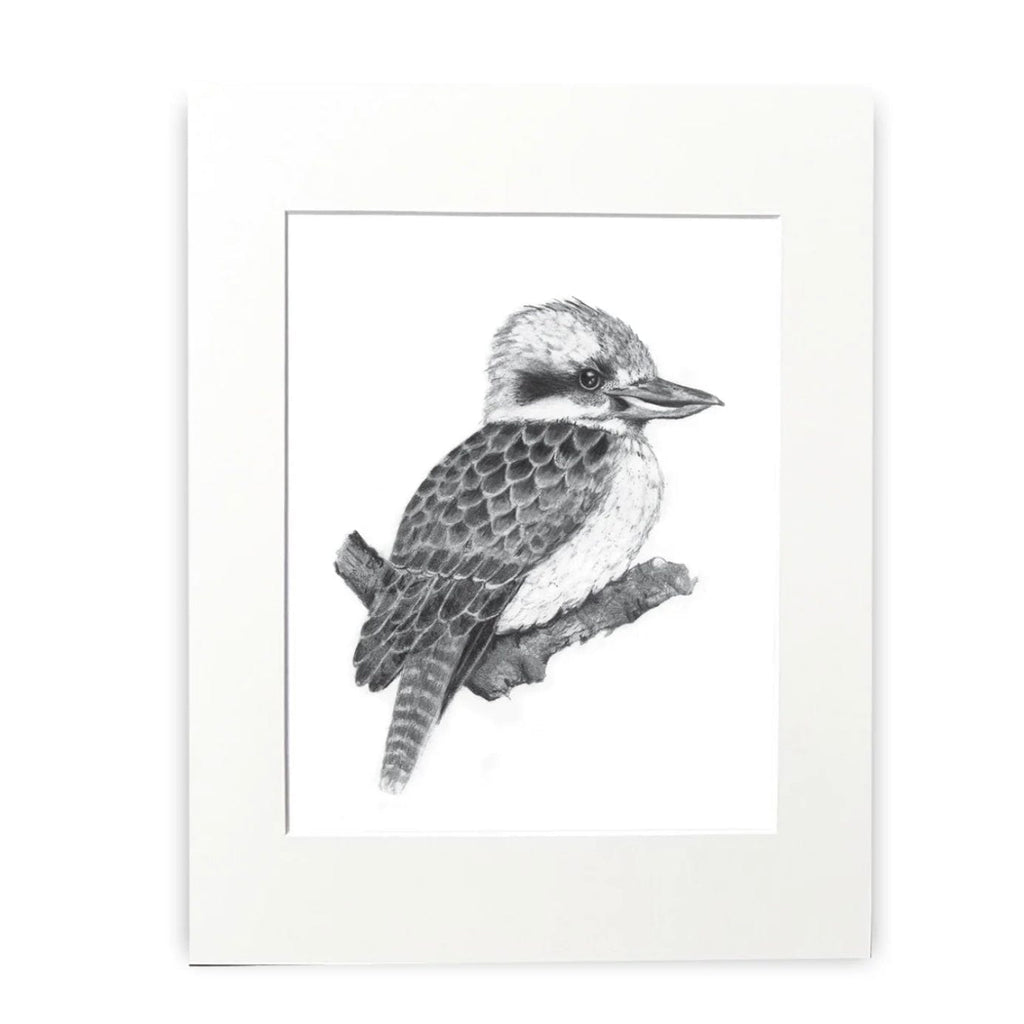 Cathy Hamilton Pencil Sketch Prints - Cathy Hamilton - Coco Blue