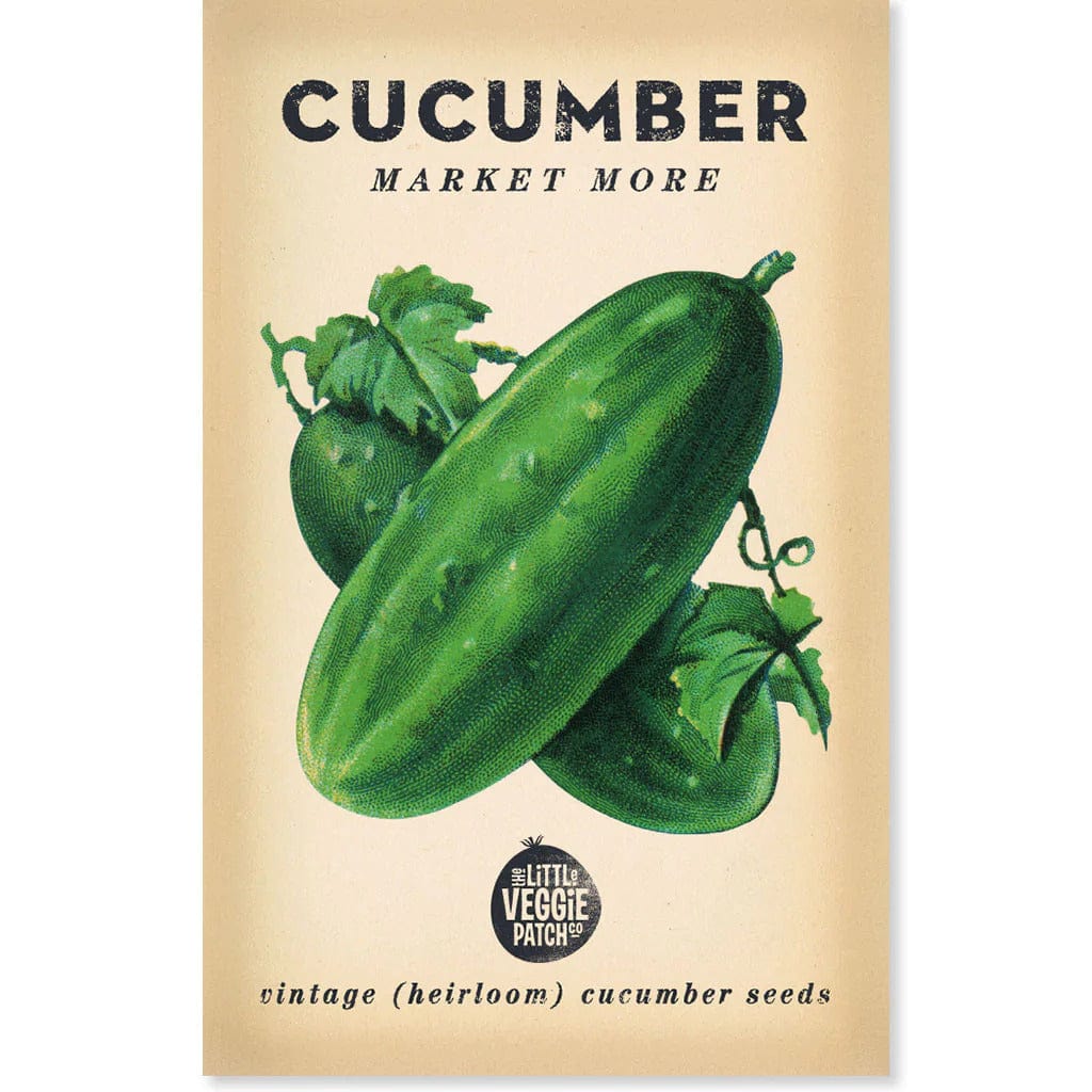 Cucumber Heirloom Seeds - Little Veggie Patch Co - Coco Blue