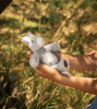 Diego The Donkey Rattle - Nana Huchy - Coco Blue