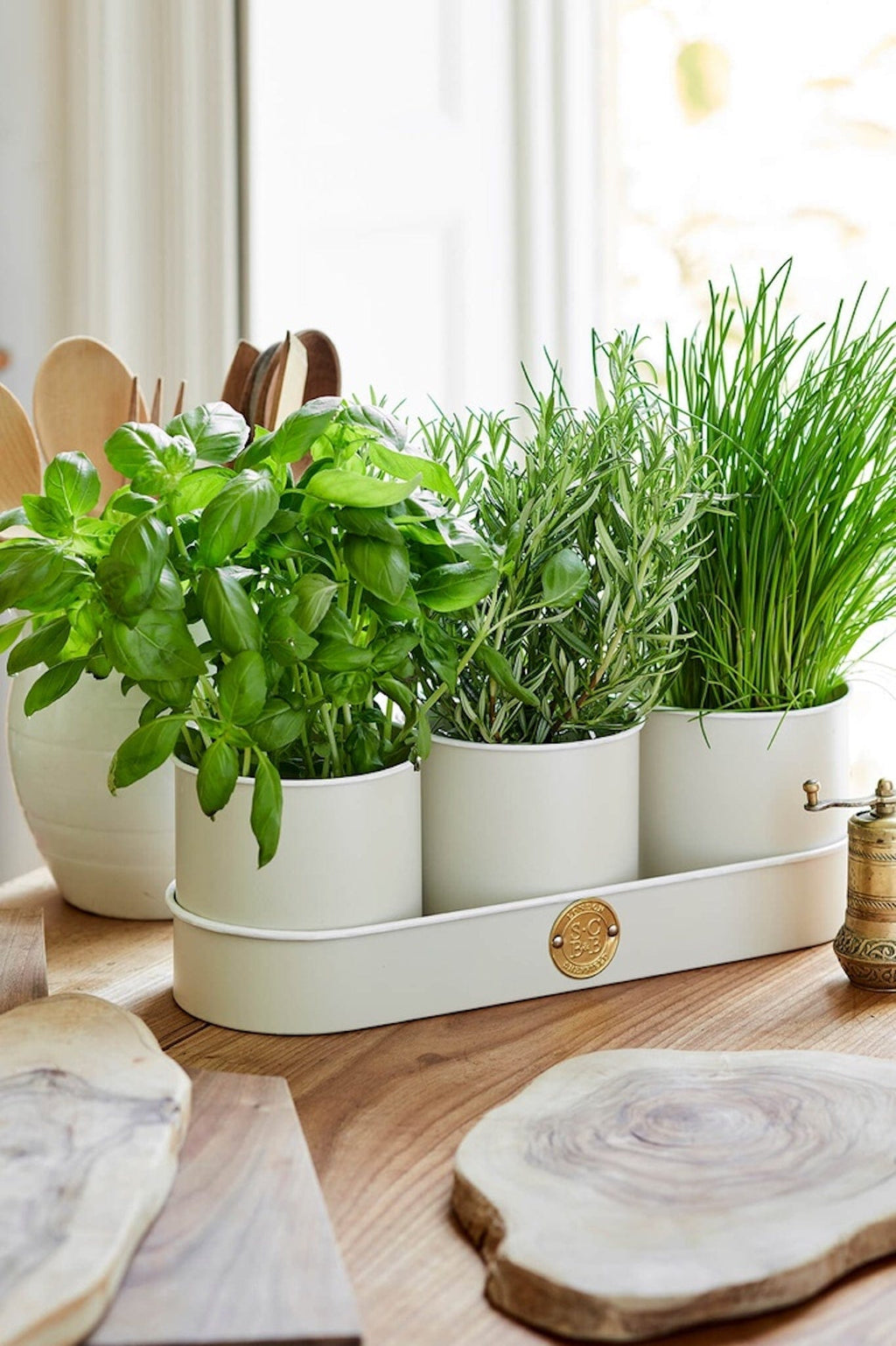 Herb Pots | Buttermilk - Burgon & Ball - Coco Blue