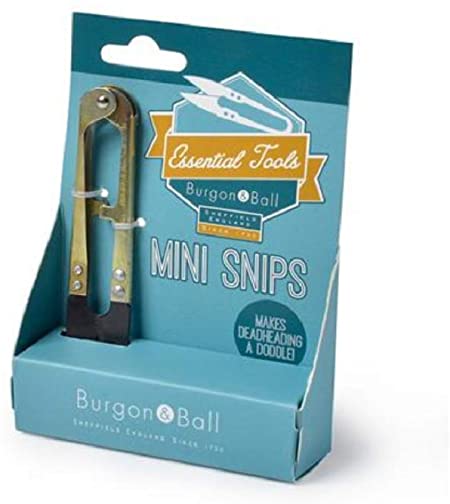 Mini Snips - Burgon & Ball - Coco Blue