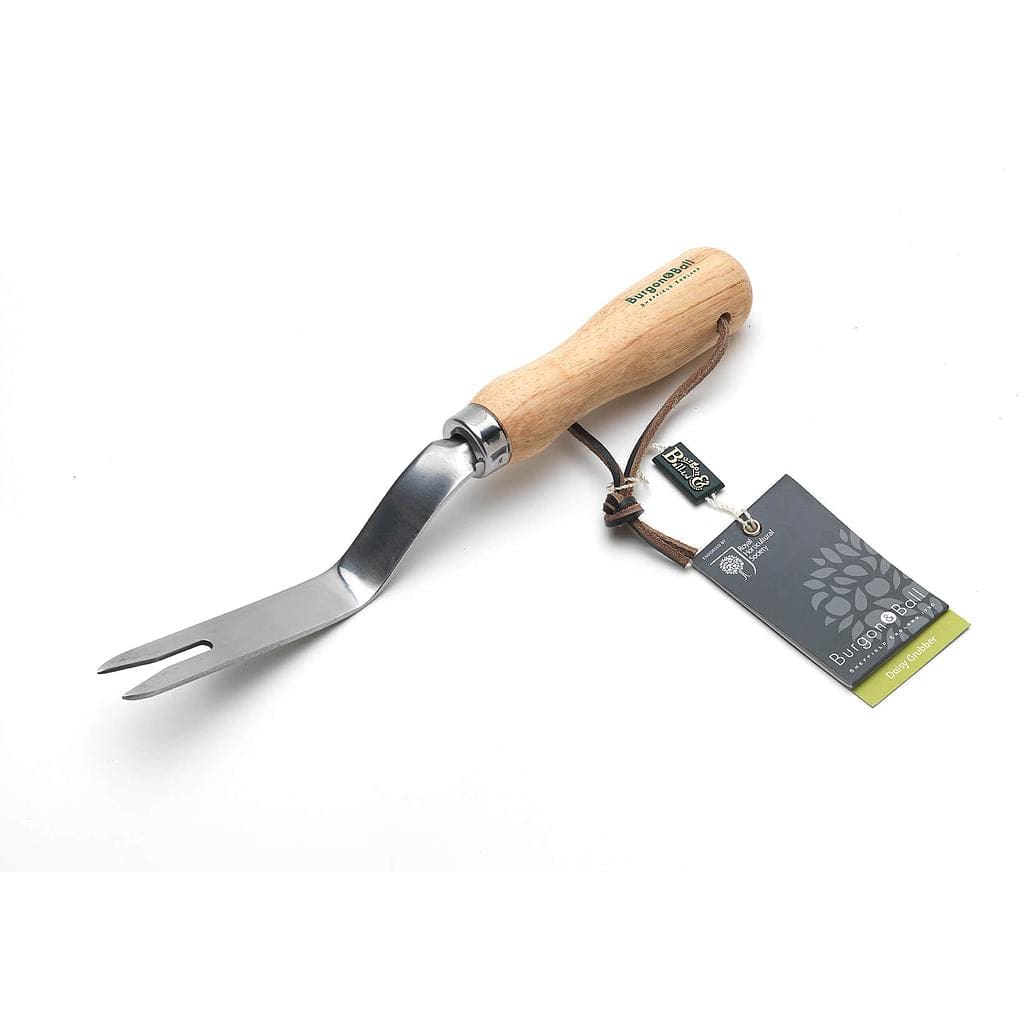 RHS Stainless Daisy Grubber - Burgon & Ball - Coco Blue