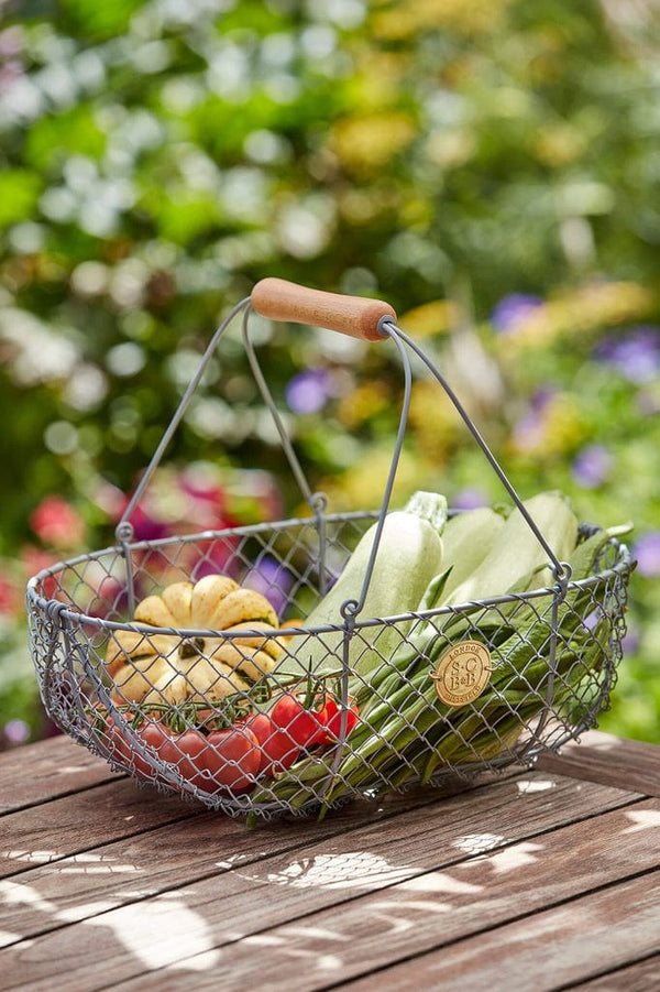 Sophie Conran Harvesting Basket | Grey - Burgon & Ball - Coco Blue