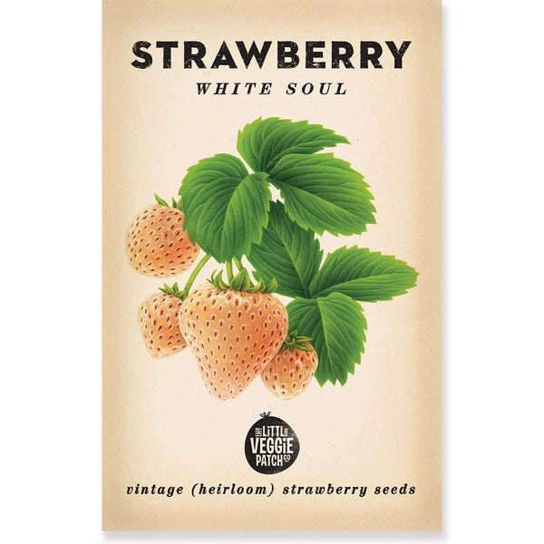 Strawberry 'White Soul' Heirloom Seeds - Little Veggie Patch Co - Coco Blue