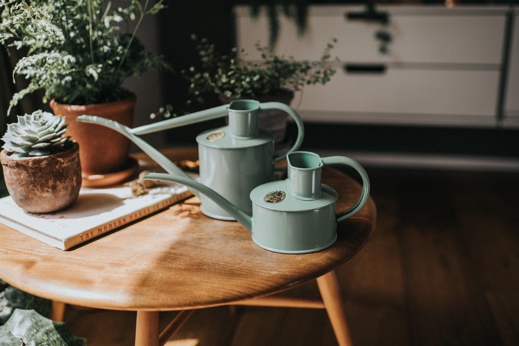 The Fazely Flow Watering Can | 1 Pint | Sage - Haws - Coco Blue