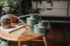 The Fazely Flow Watering Can | 1 Pint | Sage - Haws - Coco Blue