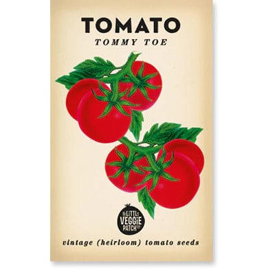 'Tommy Toe' Tomato Heirloom Seeds - Little Veggie Patch Co - Coco Blue
