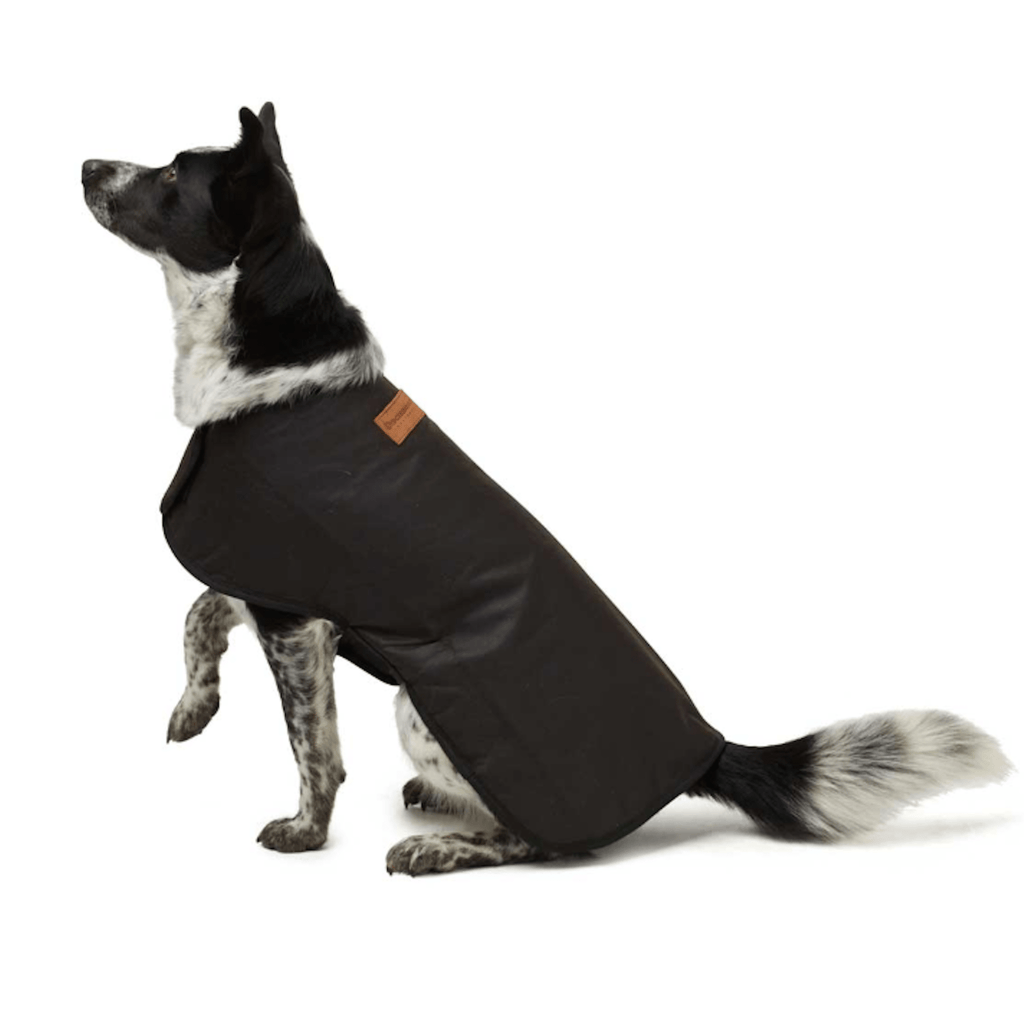Woollen & Oilskin Dog Coat - Didgeridoonas - Coco Blue