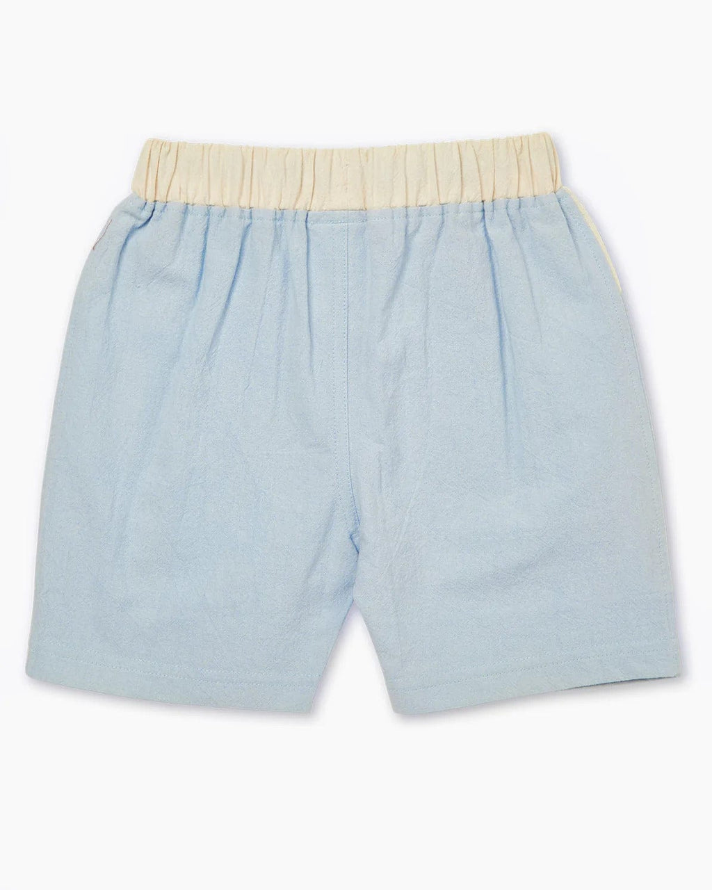 Xander Shorts | Blue & Bone - Walnut - Coco Blue